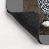 Tapis De Souris Hibou (Coin)