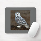 Tapis De Souris Hibou (Avec souris)
