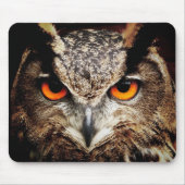 Tapis De Souris Hibou 3 Mousepads (Devant)
