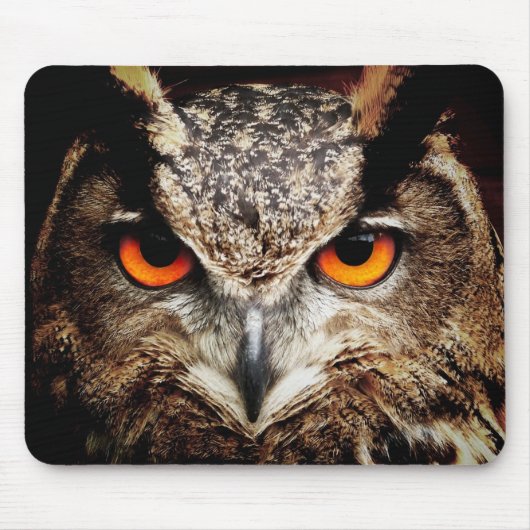 Tapis De Souris Hibou 3 Mousepads (Devant)