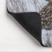 Tapis De Souris Hibou B11 à oreilles courtes (Coin)