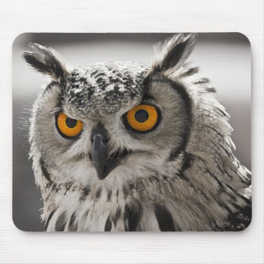 Tapis De Souris Hibou blanc magnifique Mousepad (Devant)