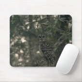 Tapis De Souris Hibou dans la forêt (Avec souris)