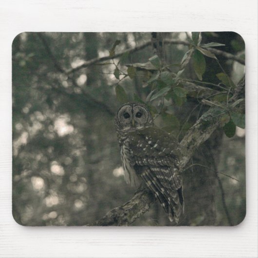 Tapis De Souris Hibou dans la forêt (Devant)