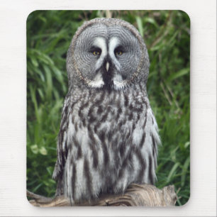 Tapis De Souris Hibou de grand gris