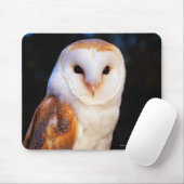 Tapis De Souris Hibou de grange (Avec souris)