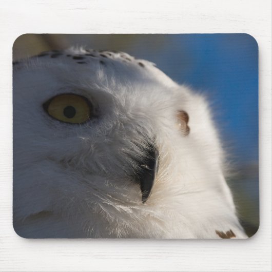 Tapis De Souris Hibou de Snowy White (Devant)