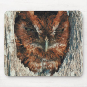 Tapis De Souris Hibou de sommeil dans un arbre