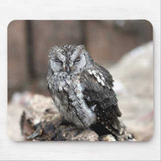 Tapis De Souris Hibou gris mignon