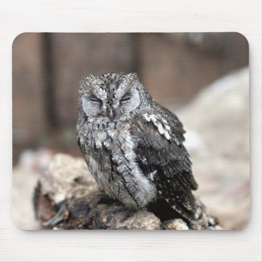 Tapis De Souris Hibou gris mignon (Devant)