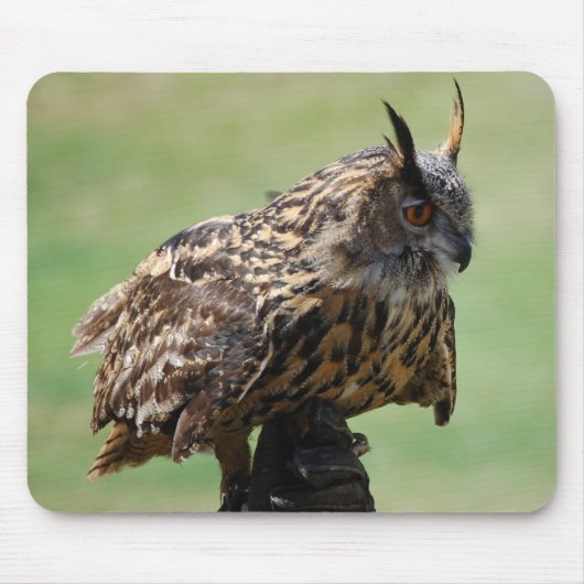 Tapis De Souris Hibou Mousepad (Devant)