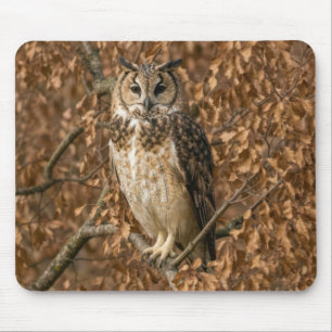 Tapis De Souris Hibou moyen-duc se cachant dans des feuilles brune