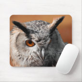 Tapis De Souris Hibou Stare (Avec souris)