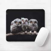 Tapis De Souris Hiboux (Avec souris)