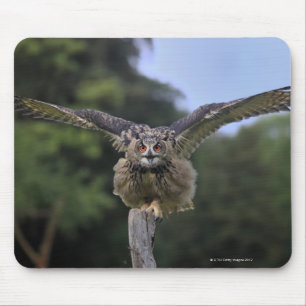 Tapis De Souris Hiboux de l'aigle (Bubo bubo)