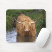 Tapis De Souris Highland Cattle (Avec souris)