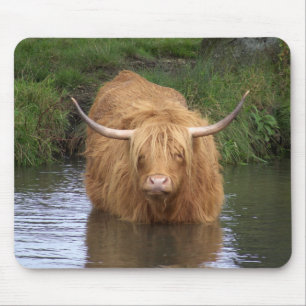 Tapis De Souris Highland Cattle