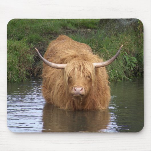 Tapis De Souris Highland Cattle (Devant)