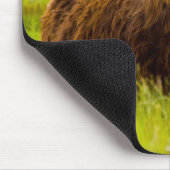 Tapis De Souris Highland Cow (Coin)