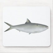 Tapis De Souris Hilsa Shad (Devant)