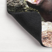 Tapis De Souris Hippo (Coin)