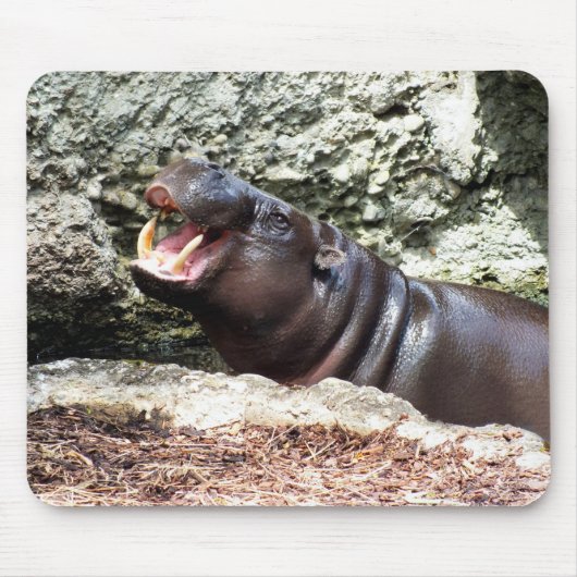 Tapis De Souris Hippo (Devant)