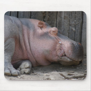 Tapis De Souris hippo2-4
