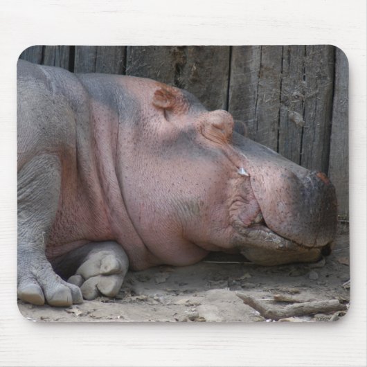 Tapis De Souris hippo2-4 (Devant)