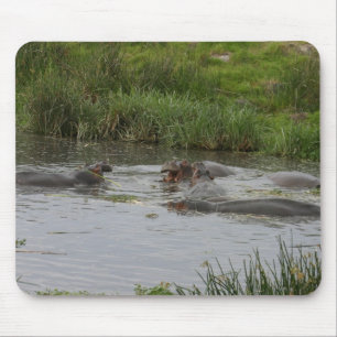 Tapis De Souris Hippo Pond - Mousepad