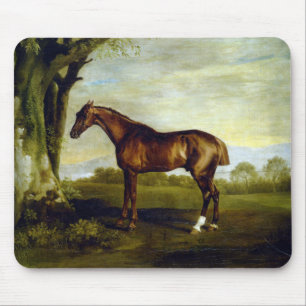 Tapis De Souris Hippocampe de châtaignier dans un paysage (George