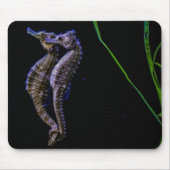Tapis De Souris Hippocampe Mousepad (Devant)