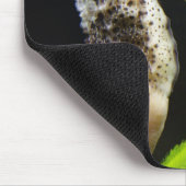 Tapis De Souris Hippocampus (Coin)
