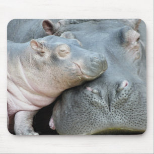 Tapis De Souris Hippopotame