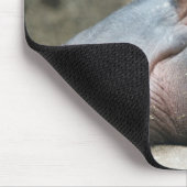 Tapis De Souris Hippopotame mousepac (Coin)