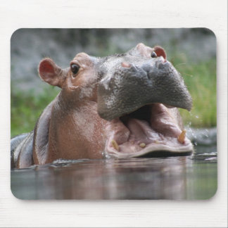 Tapis De Souris Hippopotame Mousepad