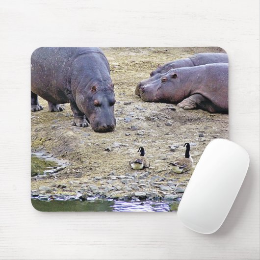TAPIS DE SOURIS HIPPOS (Avec souris)