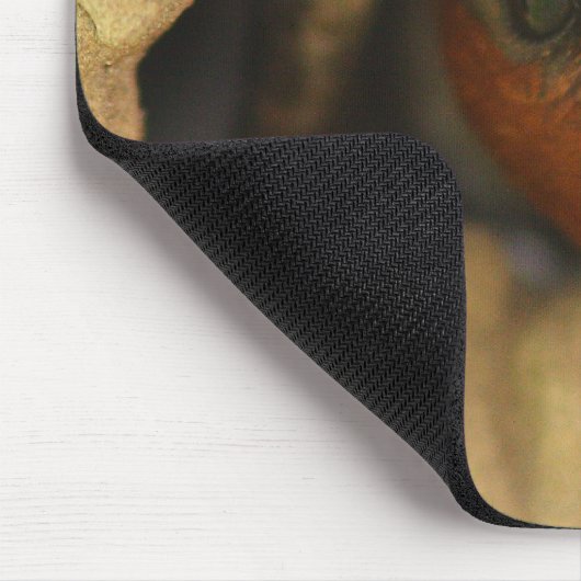 Tapis De Souris Hirondelle (Coin)