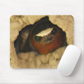 Tapis De Souris Hirondelle (Avec souris)