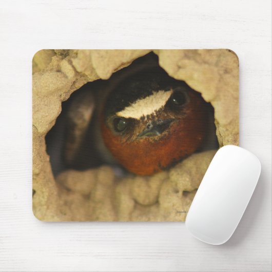 Tapis De Souris Hirondelle (Avec souris)