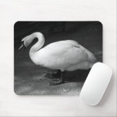 Tapis De Souris HiSS (Avec souris)