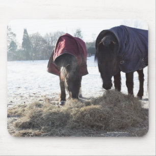Tapis De Souris Hiver dans Hertfordshire rural, Angleterre