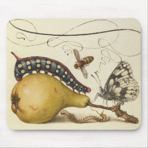 Tapis De Souris Hoefnagel Vintage Poire & Insectes 1500 Renaissanc