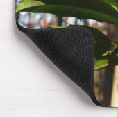 Tapis De Souris Holly Leaves (Coin)