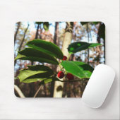 Tapis De Souris Holly Leaves (Avec souris)