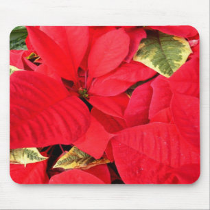 Tapis De Souris Holly Point Poinsettias vacances Floral