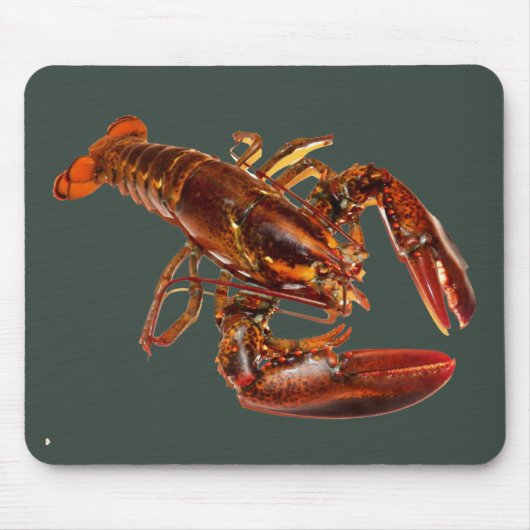 Tapis De Souris Homard (Devant)