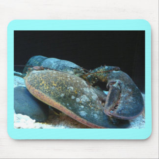 Tapis De Souris homard bleu