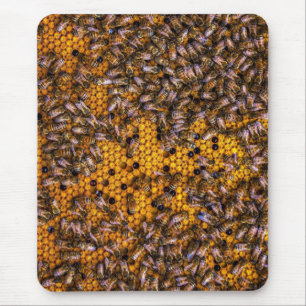TAPIS DE SOURIS HONEY BEES