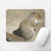 Tapis De Souris Horatio Mousepad (Avec souris)