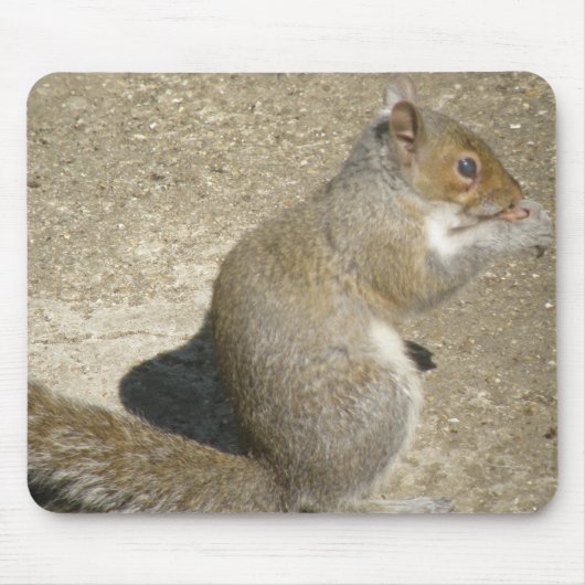 Tapis De Souris Horatio Mousepad (Devant)